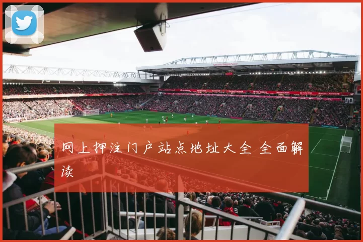 网上押注门户站点地址大全 全面解读