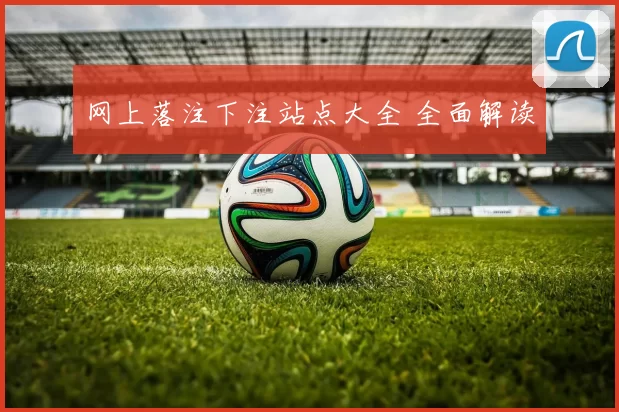 网上落注下注站点大全 全面解读