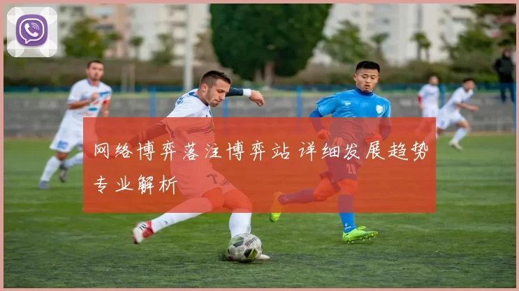 网络博弈落注博弈站 详细发展趋势专业解析