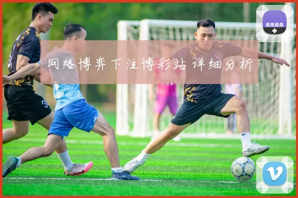 网络博弈下注博彩站 详细分析