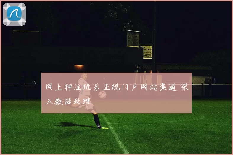网上押注玩乐正规门户网站渠道 深入数据处理