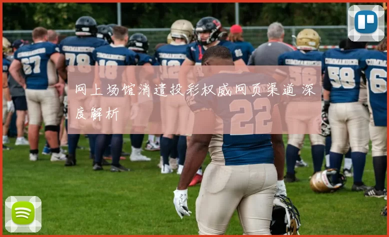 网上场馆消遣投彩权威网页渠道 深度解析