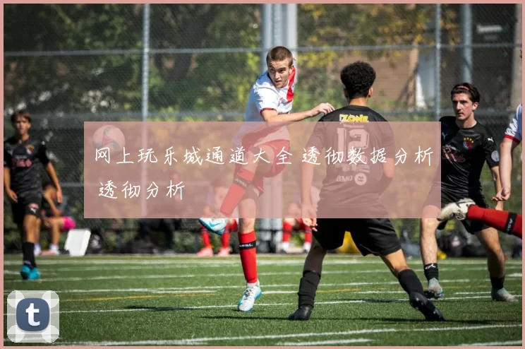 网上玩乐城通道大全 透彻数据分析 透彻分析
