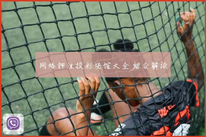 网络押注投彩场馆大全 综合解读