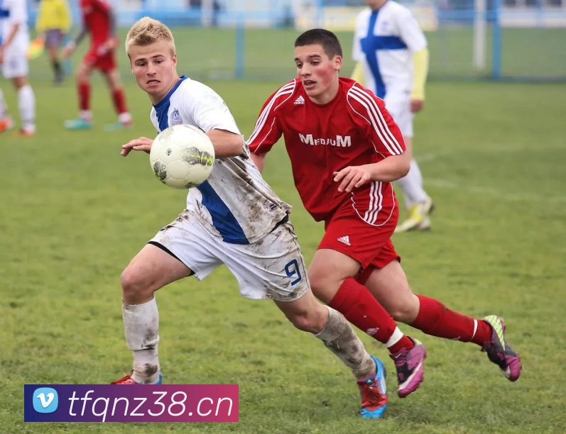 多媒体互动体验