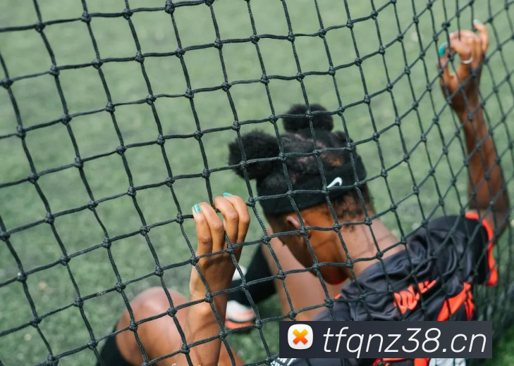 万博体育APP 封面图